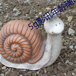 5g影訊年齡確認大象