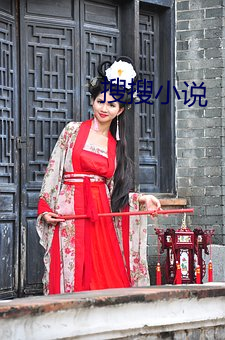 搜搜小说(shu)