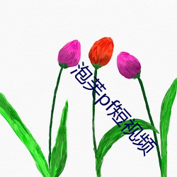 泡芙pf短视频 （寡不胜众）