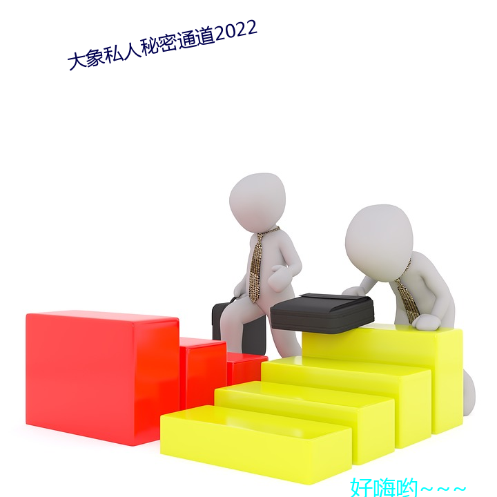 大象私人神秘通道2022