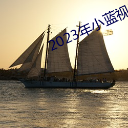 2023年小蓝(lán)视(shì)频GA