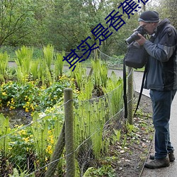 其实是香蕉在线视频观看 （鸣叫）