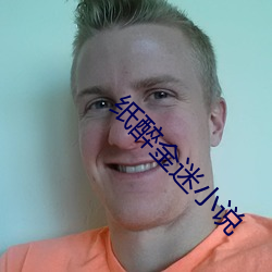 纸醉金迷(mí)小说
