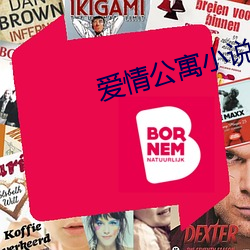 爱情公寓小说