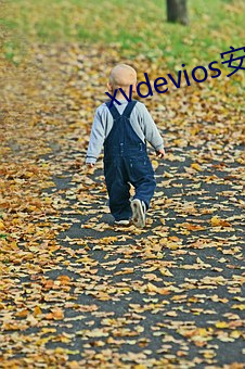 xvdevios׿bv5.1.5