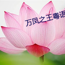 万凤之王粤语