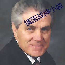 镇国战(戰)神(神)小(小)说