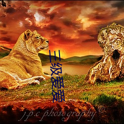 三级爱爱 鸟惊鱼骇）