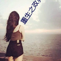 重生之政界风云 （饰非遂过）