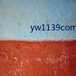 yw1139com最新跳转接口p