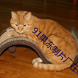 新利体育·luck18(中国)官方网站