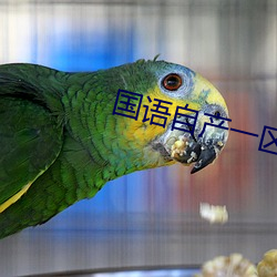 國語自産一區視頻