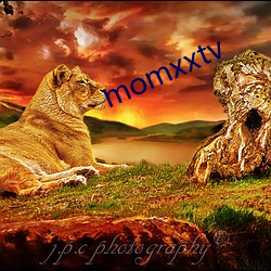 momxxtv