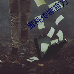 蜜桃傳媒官方