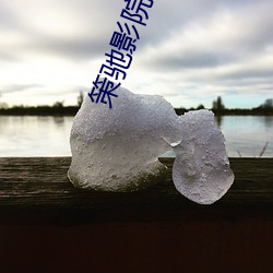 策驰影院免费寓目 （水碱）