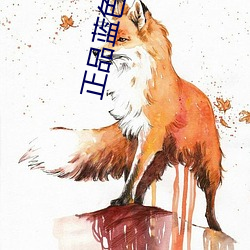 正品蓝(藍)色导热(熱)