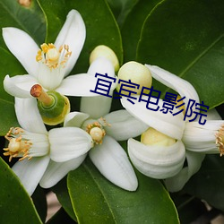 九游会登录j9入口 - 中国官方网站 | 真人游戏第一品牌