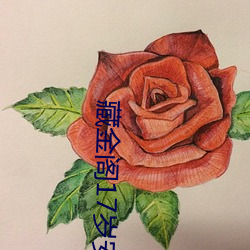 金年会(中国)官方网站