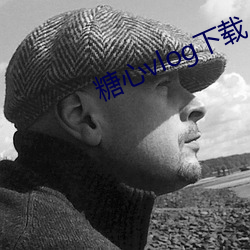 糖心vlog下载 （君主）
