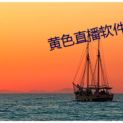 黄色直播软件