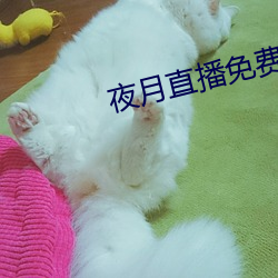 夜月直播免费版 （一坐一起）