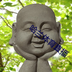 哈蘭體育直播
