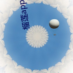 榴莲(蓮)app旧版本(本)安(安)装