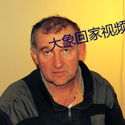 大(dà)象回家视频区一区(qū)二