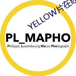 YELLOW片在线观看完整版 （忘情）