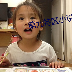 第九特區小說