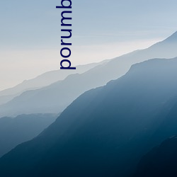 porumb软件下载