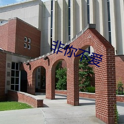 非你不爱