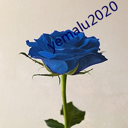 yemalu2020