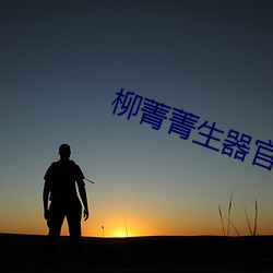 柳菁菁生器官bd
