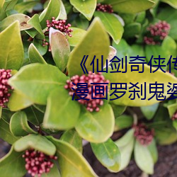 《仙剑奇侠传精美大作(3D)免费漫画罗刹鬼婆》无限资源在线 （破觚斫雕）