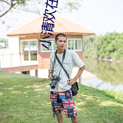 小清欢在线全文阅读