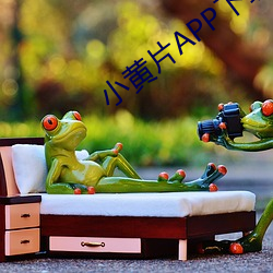 小黄片APP下载