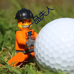 一品夫(fū)人(rén)
