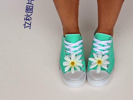 立秋图片高清