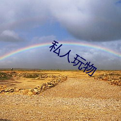 私人玩物