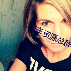 修车资(資)源(源)总群