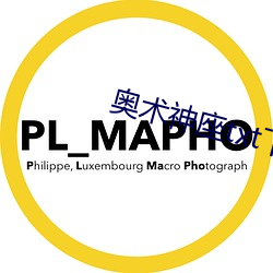 奥(o)术神座(zuò)txt下载