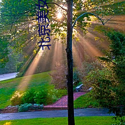 北京(jīng)美女(nǚ)上(shàng)门(mén)