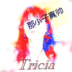 那小子真帅