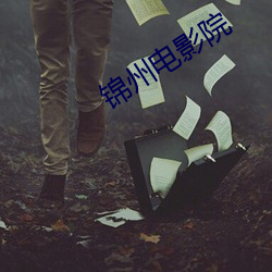锦州电影院