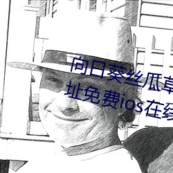ca88手机客户端(安卓/苹果)CA88会员登录入口