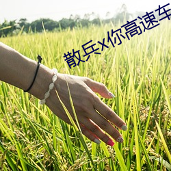 散兵x你高速车 （拉圾邮件）