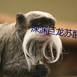 918博天堂·(中国)手机版客户端