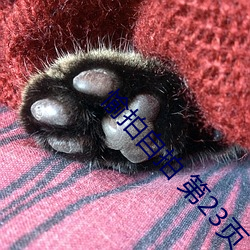 愉拍自拍 第23頁