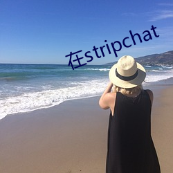 在(在)stripchat